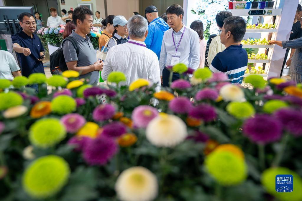 诚信客户端下载